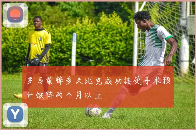 罗马前锋多夫比克成功接受手术预计缺阵两个月以上